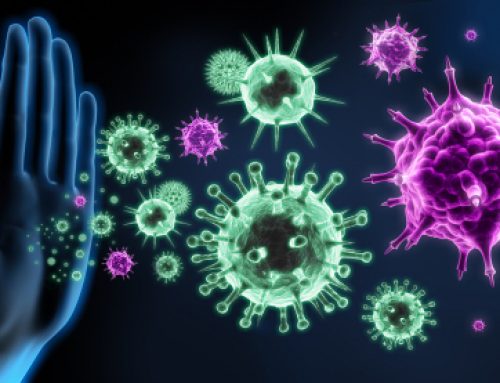 病毒，免疫力和干细胞