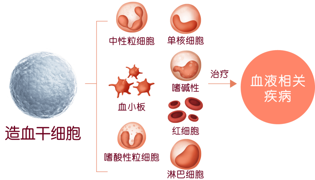 Cord Blood Banking