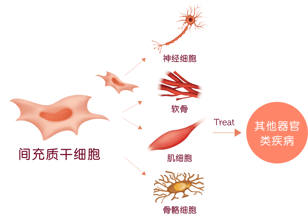 Cord Tissue Banking